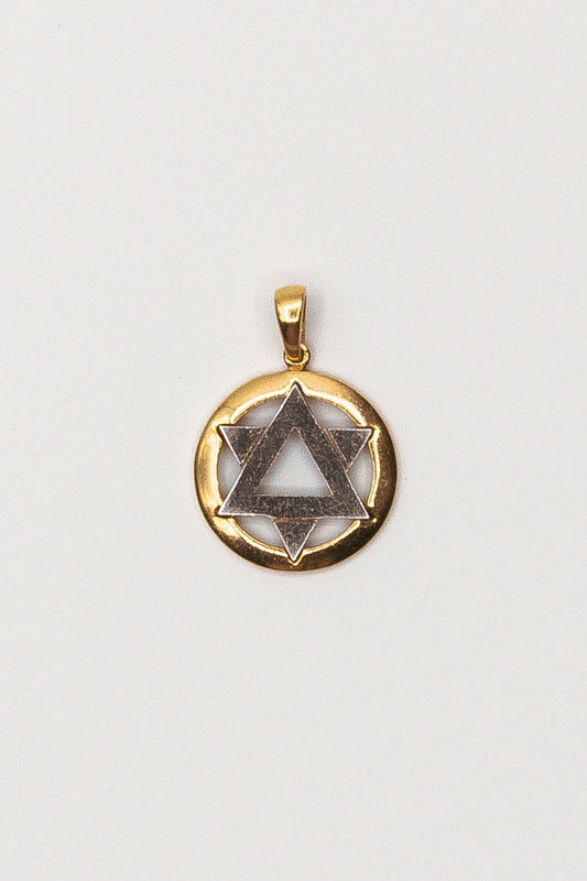 White Gold Star of David in a Golden Circle Pandent