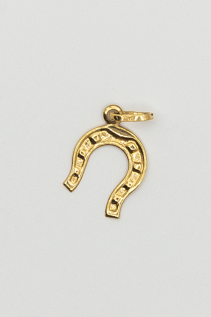 Horseshoe Pendant