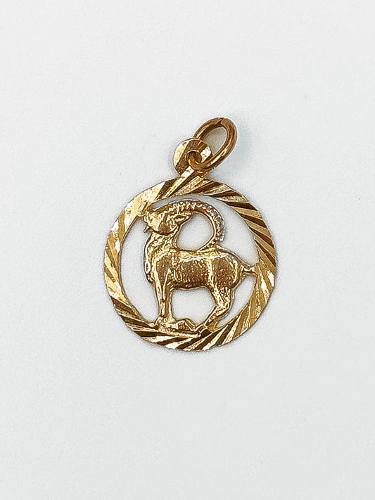 Capricorn Medallion Pendant